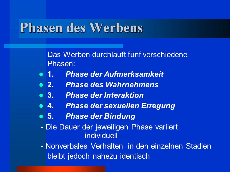 phasen einer beziehung dauer phasen einer beziehung dauer